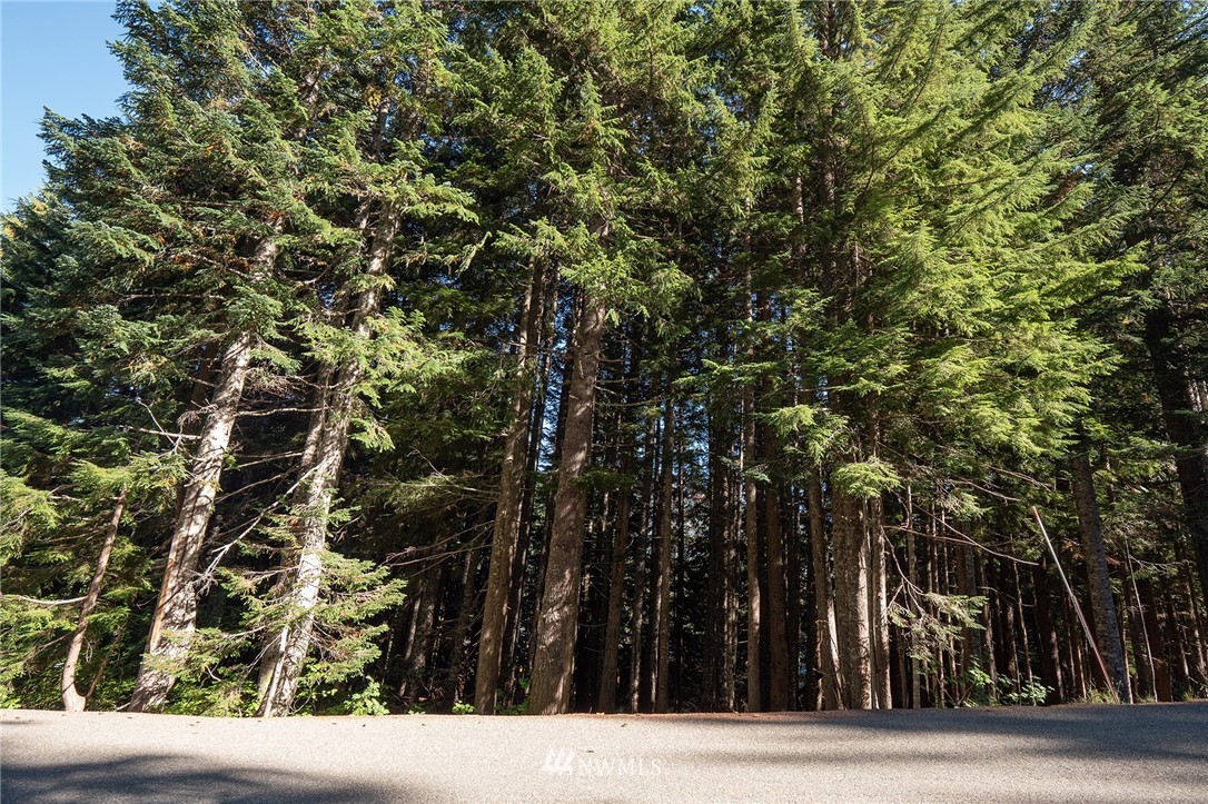 Snoqualmie Pass Wa Sales Activity