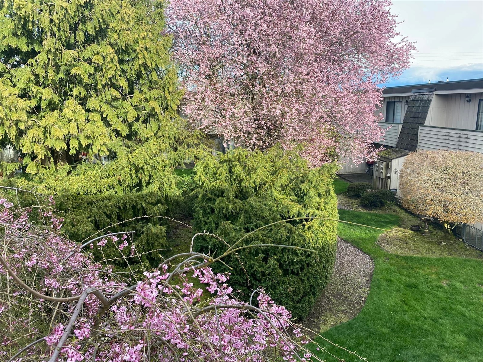 4th Ave Village, Everett, WA Townhouses & Townhomes For Sale