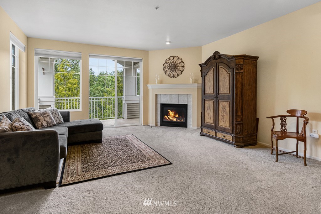 Le Chateau Condo, Bellevue, WA Condos For Sale