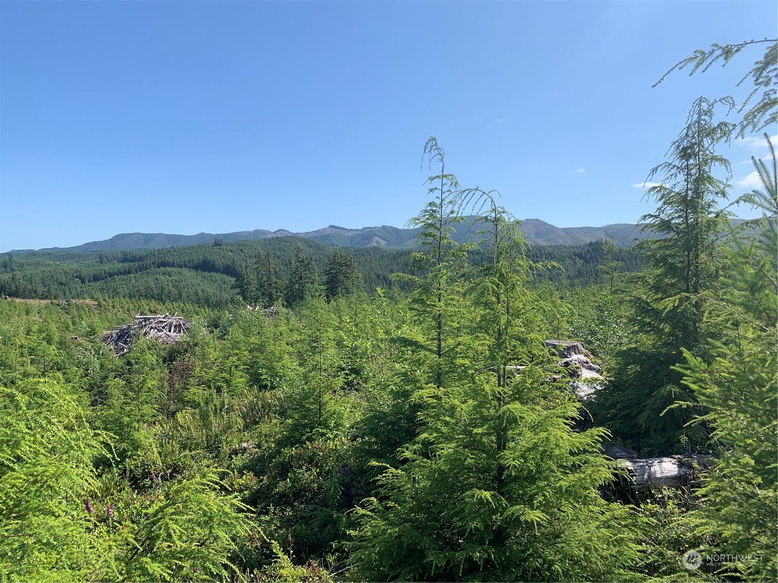 Naselle Land For Sale in Naselle WA