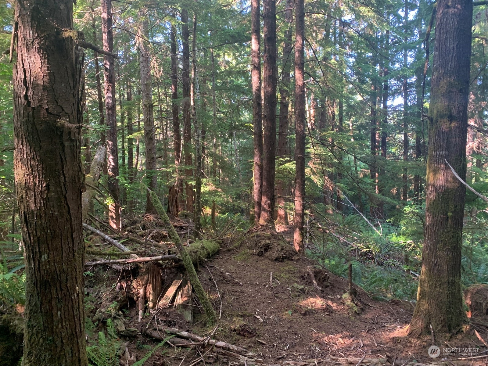 Naselle Land For Sale in Naselle WA