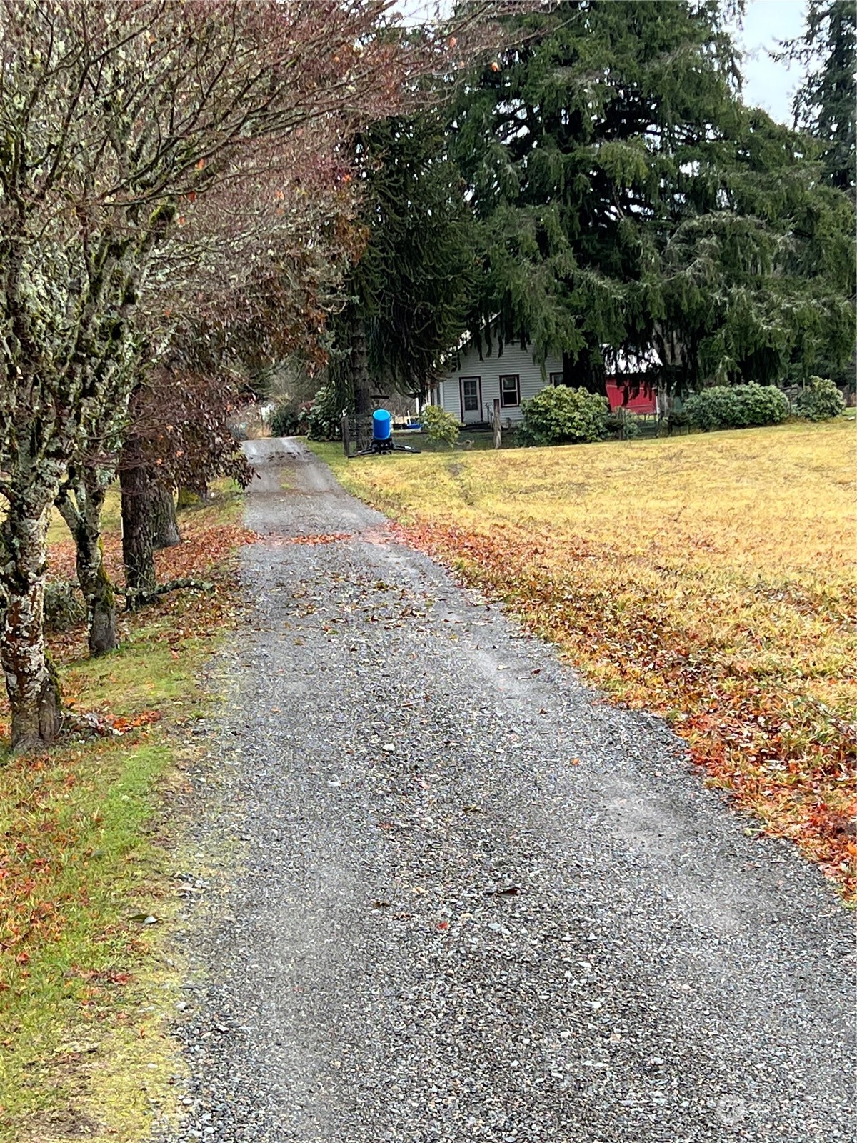 Randle, WA Homes For Sale & Real Estate