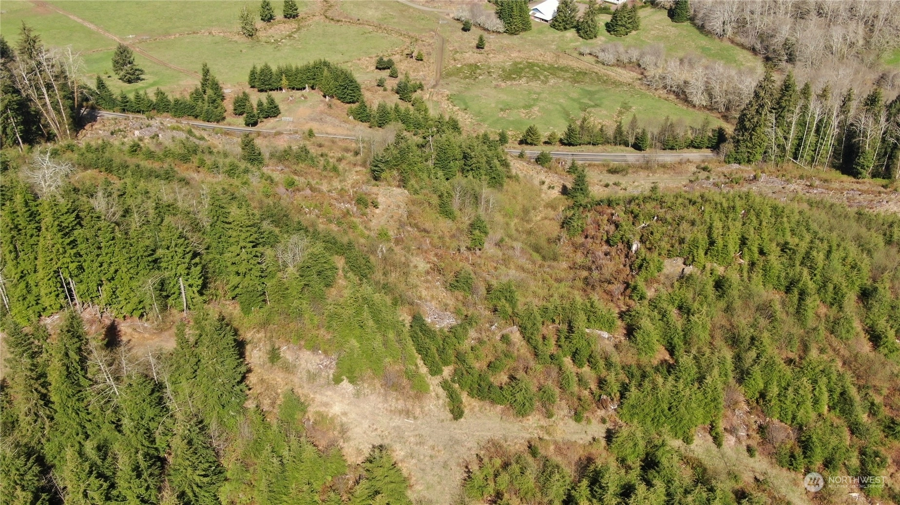 Naselle Land For Sale in Naselle WA