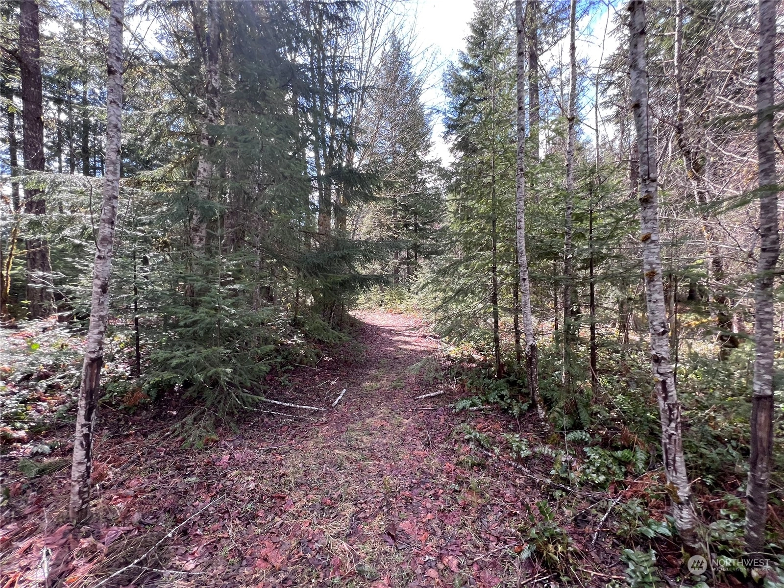 White Pass Land For Sale in White Pass WA