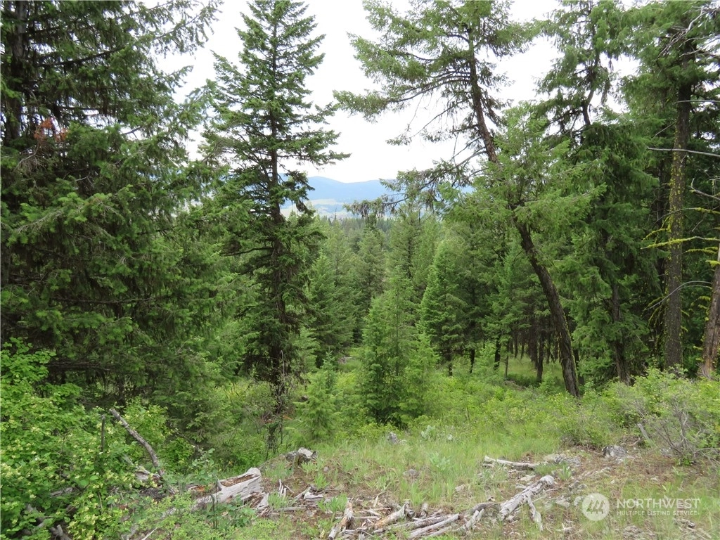 Curlew Land For Sale in Curlew WA