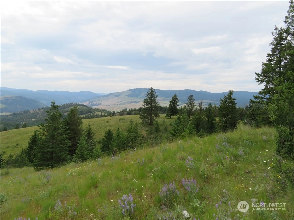 Curlew Land For Sale in Curlew WA