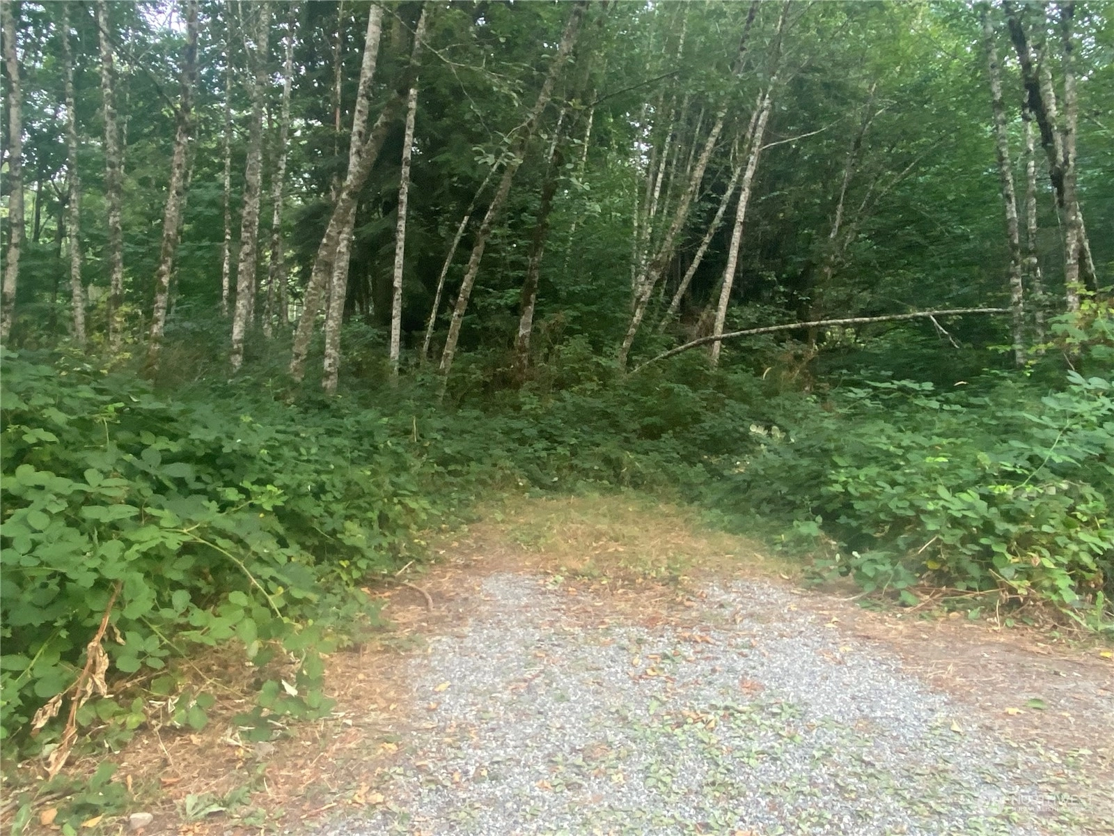 Monroe Land For Sale in Monroe WA Wicklund