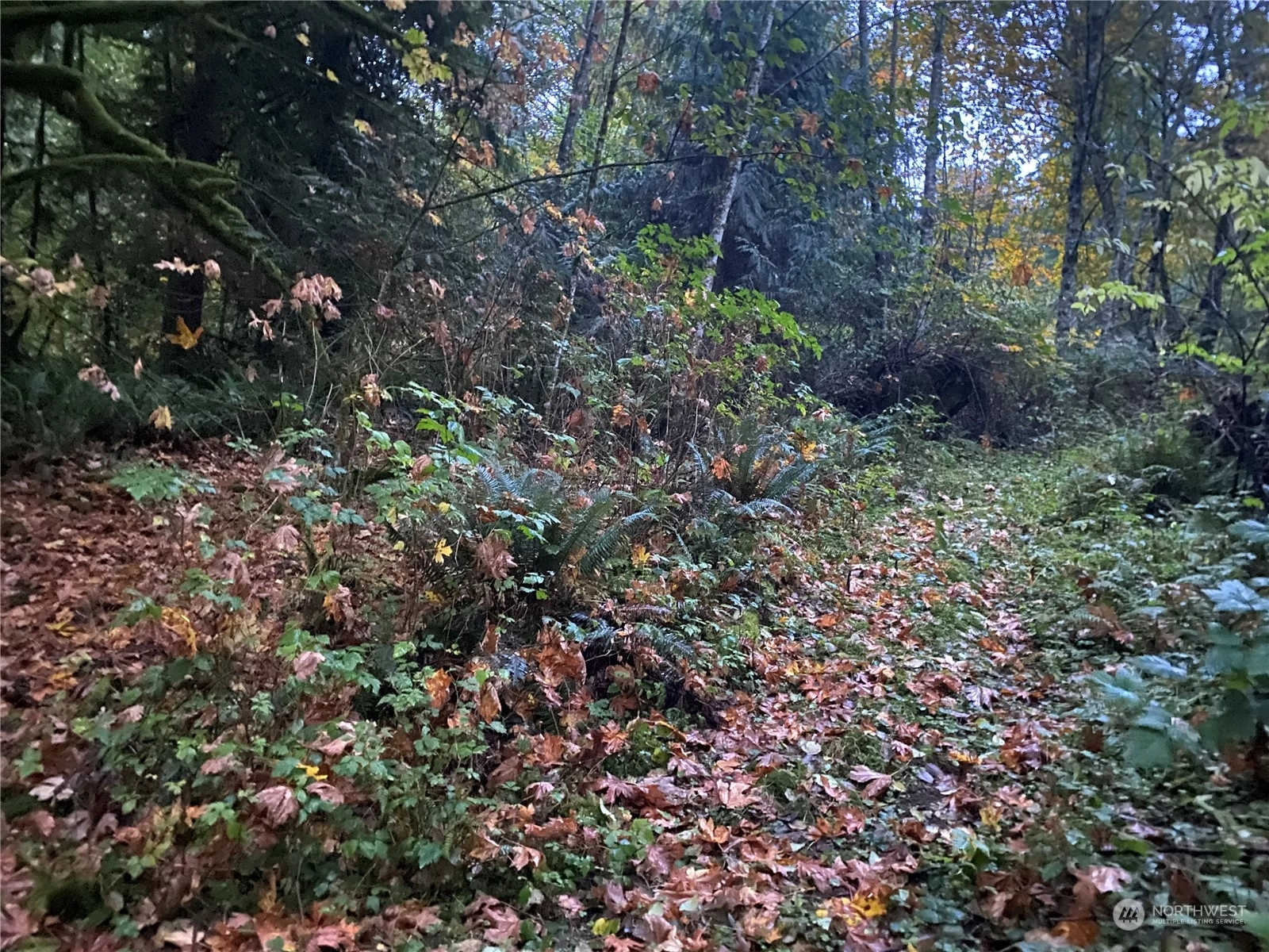 Monroe Land For Sale in Monroe WA Wicklund