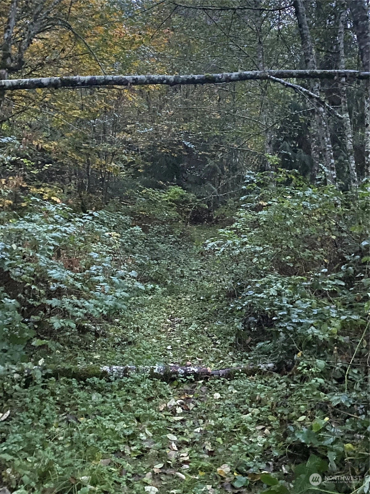 Monroe Land For Sale in Monroe WA Wicklund