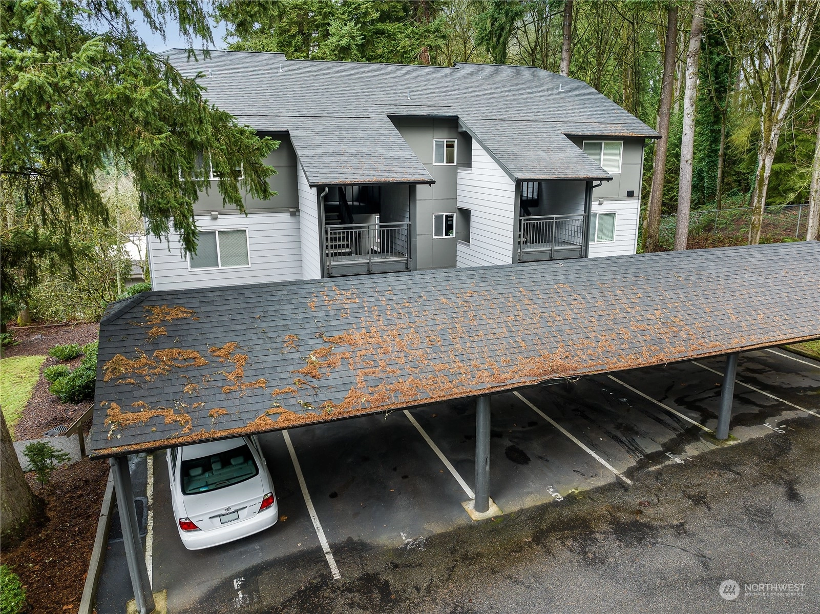 Cedarwood Condos For Sale at Cedarwood in Kirkland, WA Wicklund