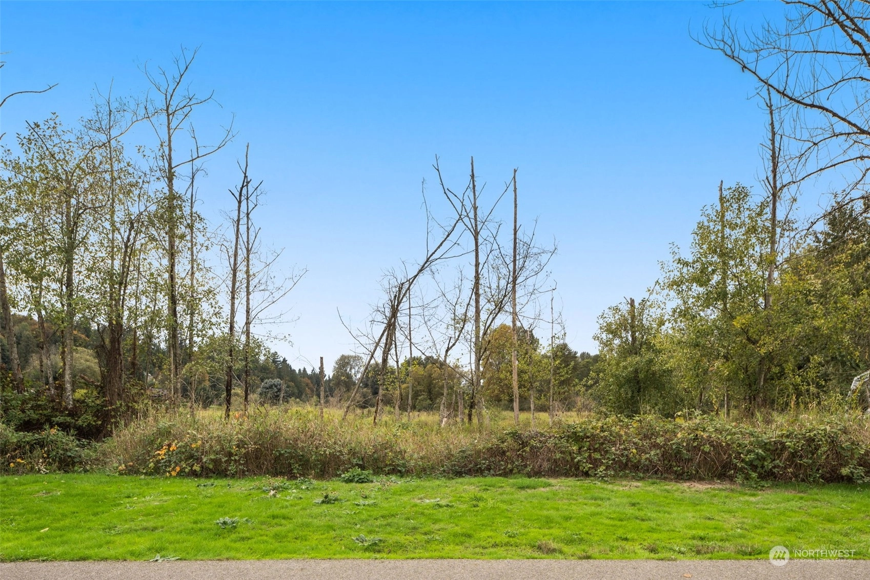 Kenmore Land For Sale in Kenmore WA Wicklund