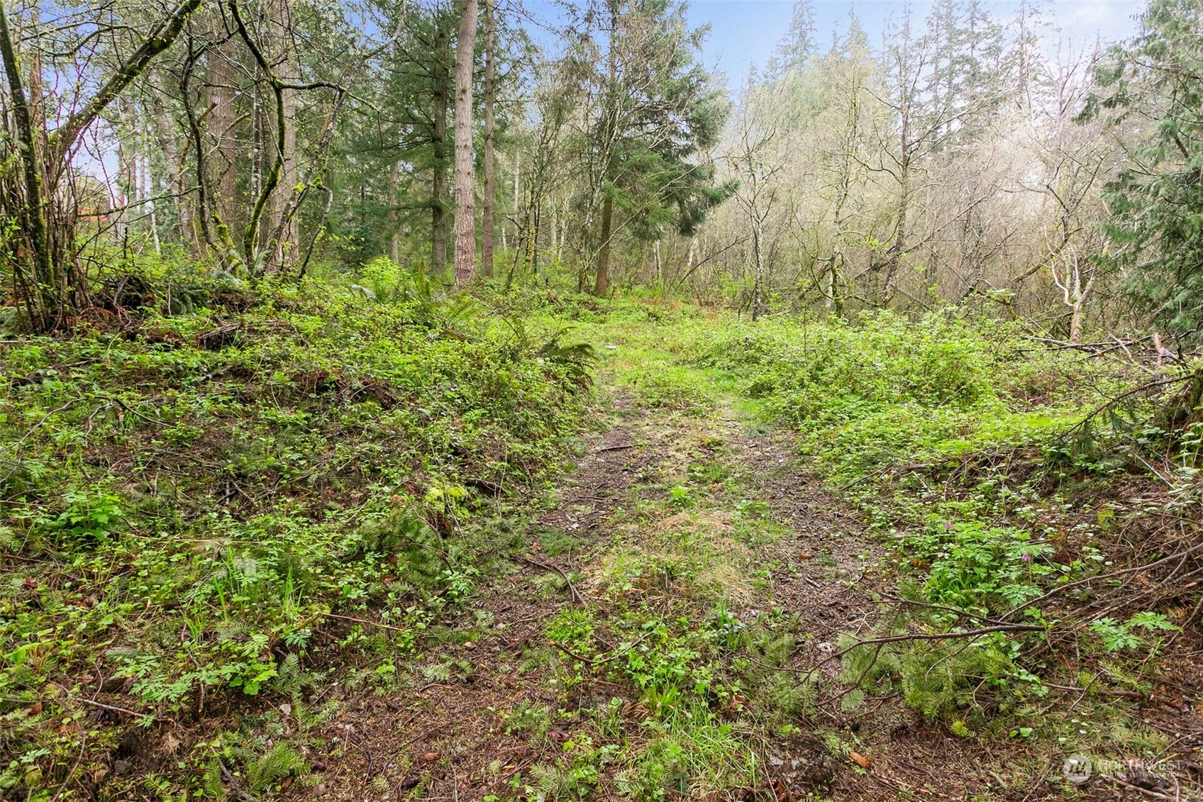 North Bend Land For Sale in North Bend WA Wicklund