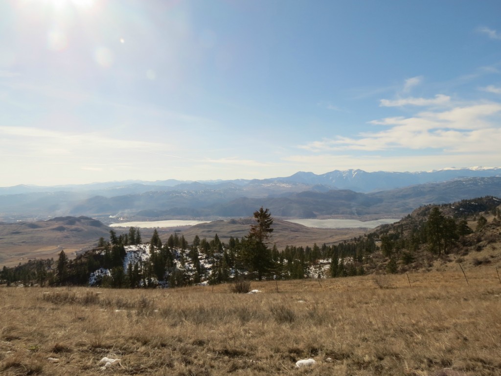 Lot 28 Nine Mile Ranch Div 5 Oroville WA 98844 NWMLS 562608